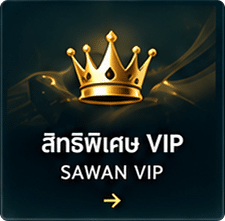 สิทธิพิเศษ VIP